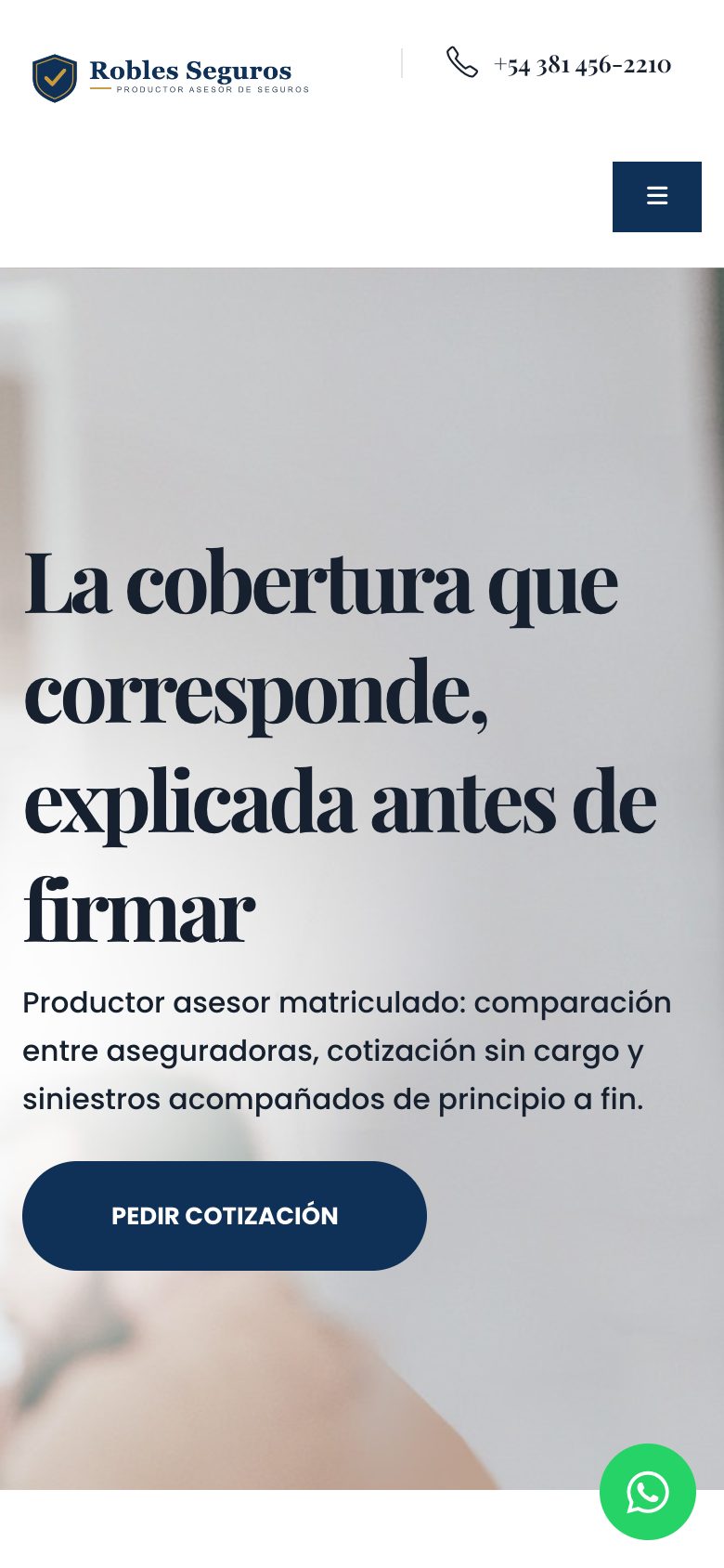 Sitio Web para Productores de Seguros móvil